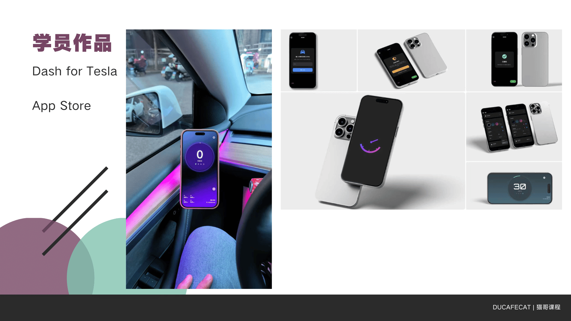 Dash for Tesla 学员作品